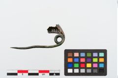 Foto von Bronzekahnfibel (NHMW-PRAE-024315)